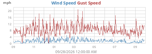 yearwind